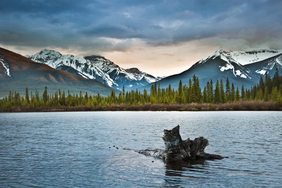 Landscapes, photo 33